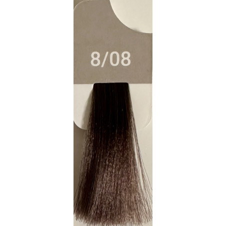 Absolute 8/08